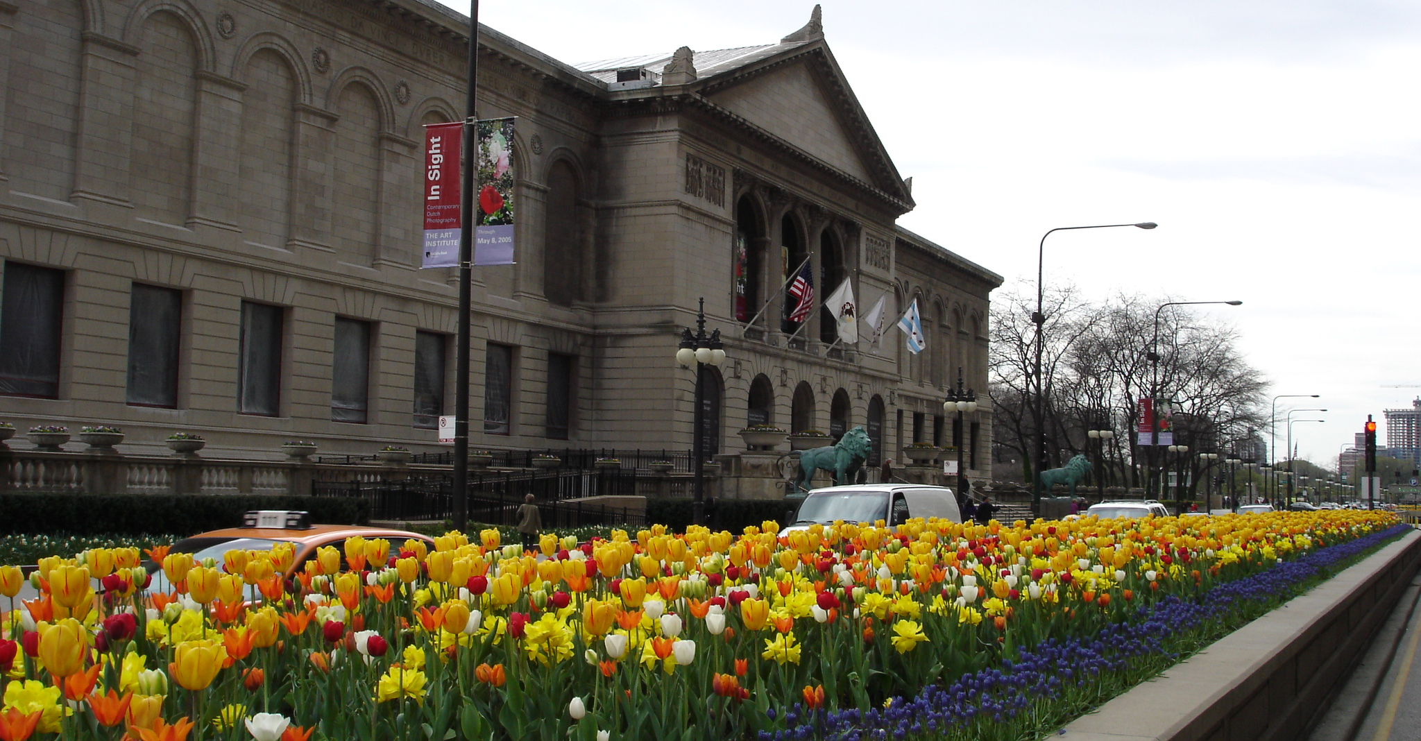 Michigan Avenue Medians at The Art Institute