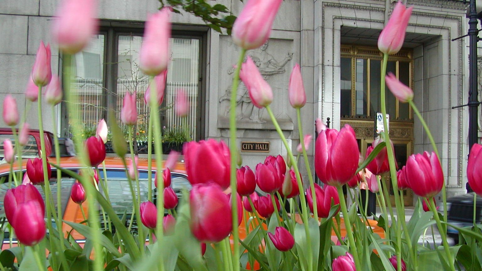 LaSalle Street at City Hall
