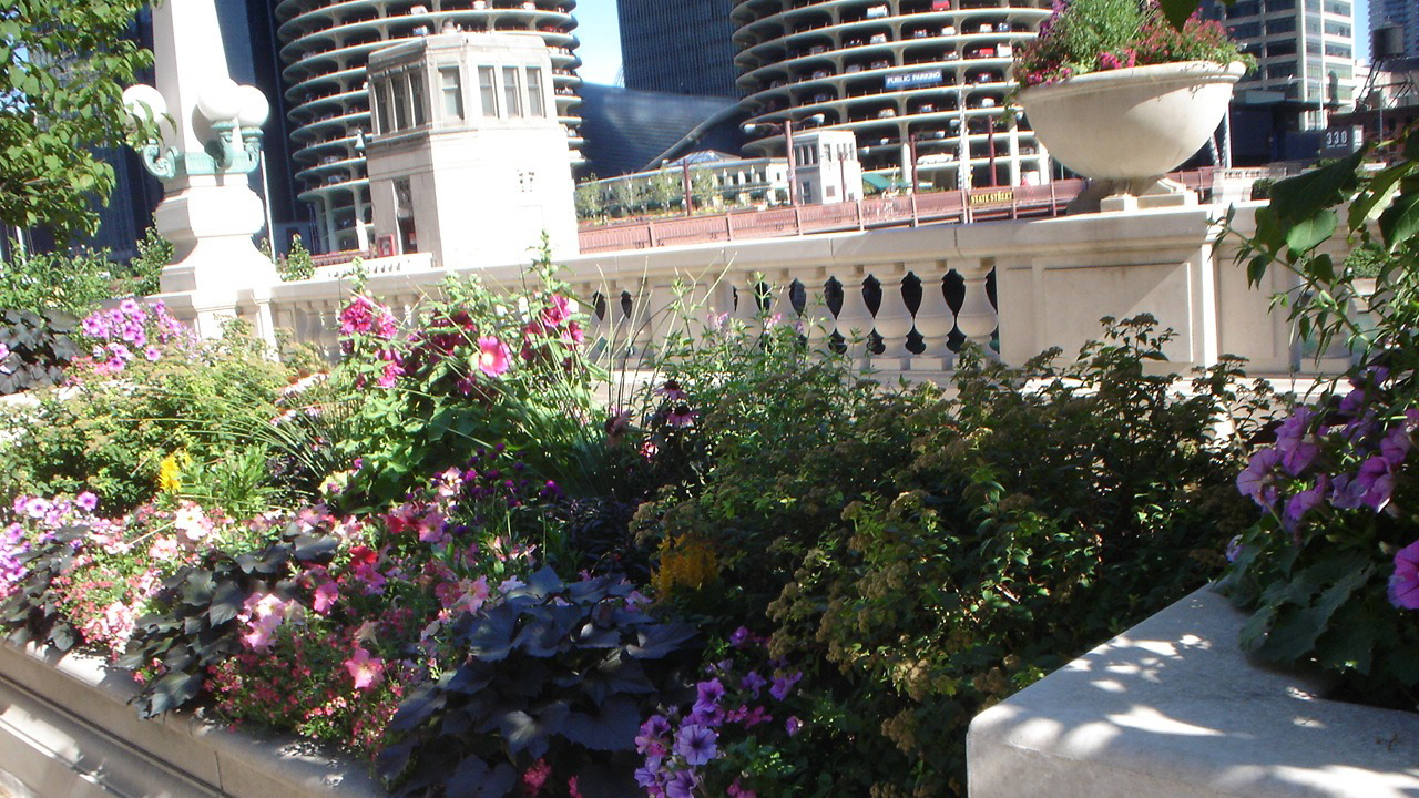 Upper Wacker Drive at Marina City